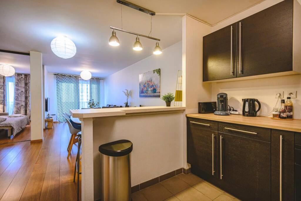 Camille - Appartement Avec Exterieur 랭스 외부 사진